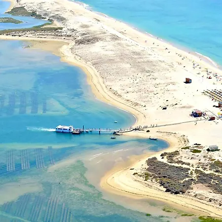 Aurora Da - Casa De Ferias By Junto Ao Mar *